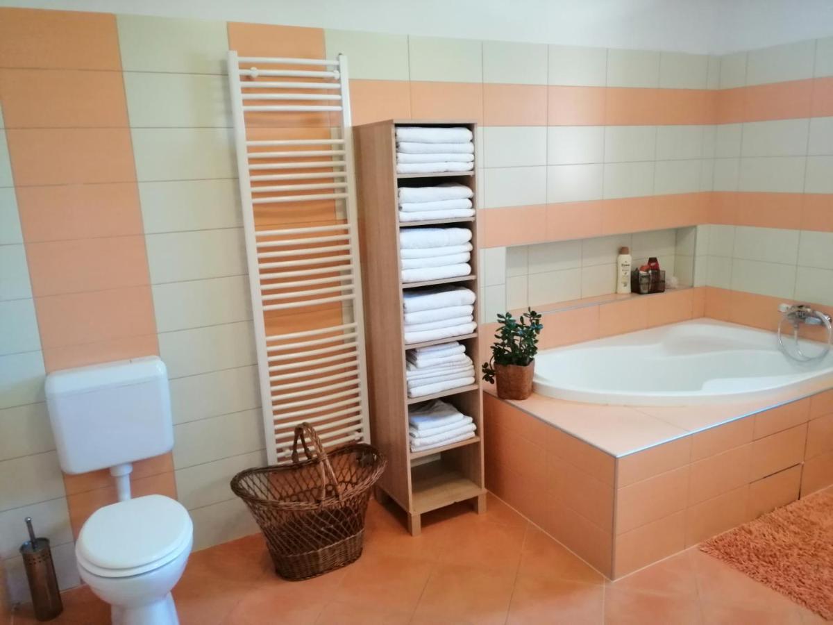 Vizaknai Apartmanhaz Alba Regalǎ Exterior foto