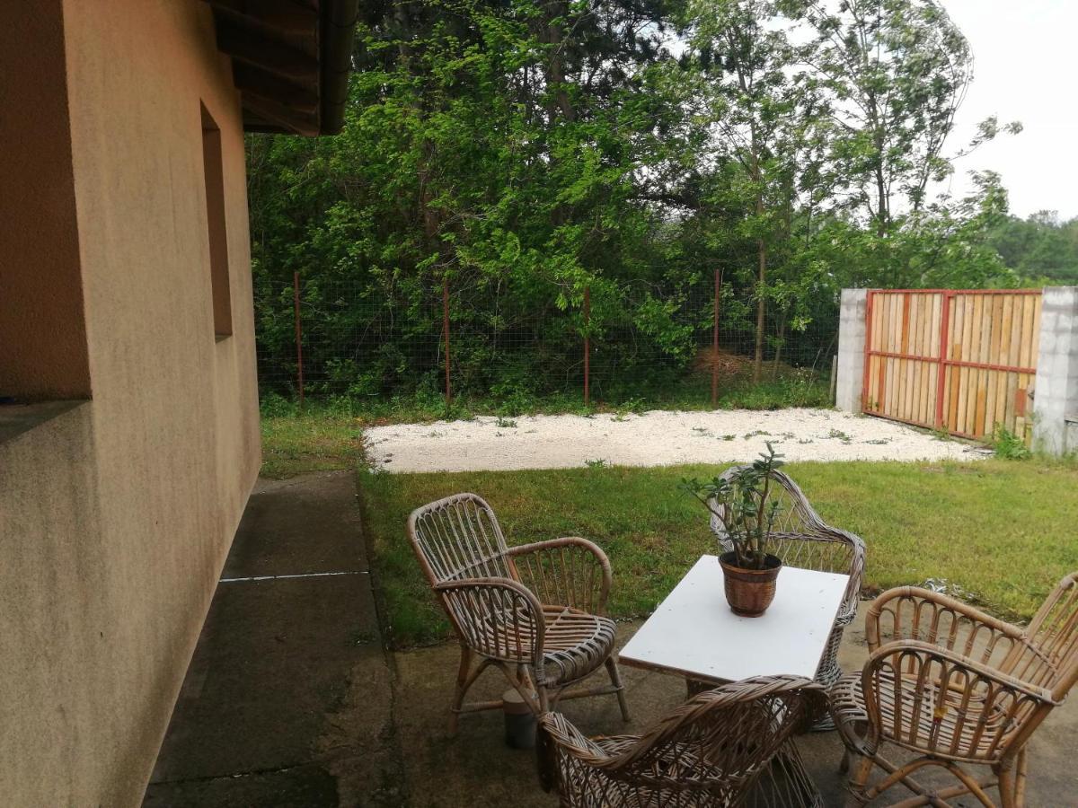 Vizaknai Apartmanhaz Alba Regalǎ Exterior foto
